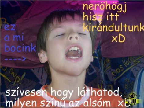 boci.jpg